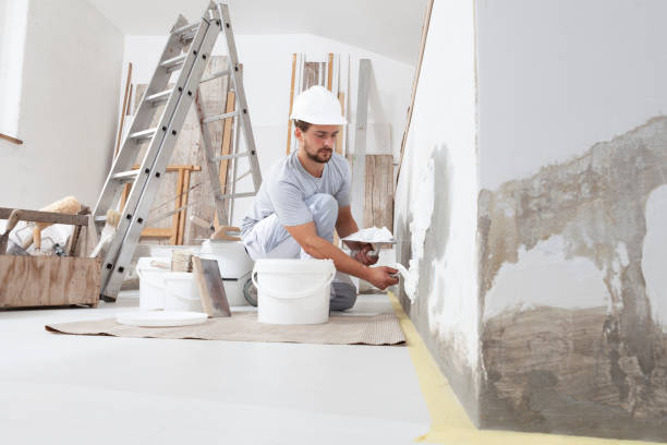 Best Drywall Sanding and Smoothing  in Flat Rock, MI